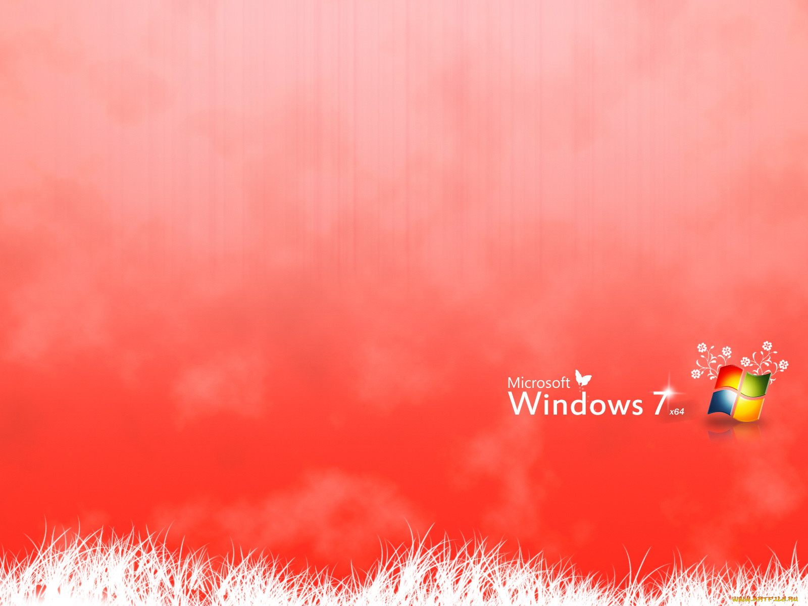 , windows, vienna, 